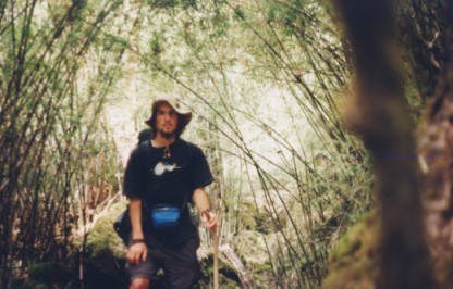 Mehr Wald